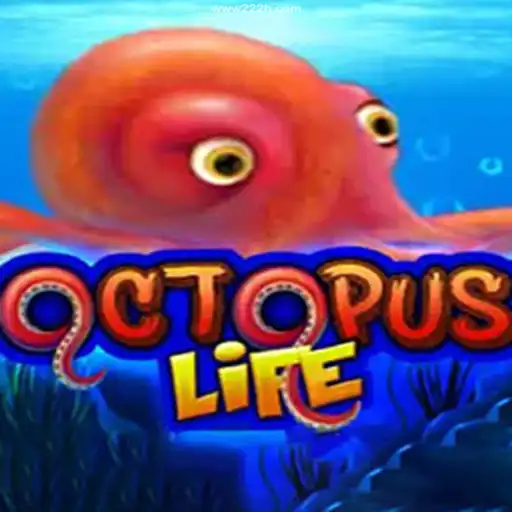 Discover the Exciting World of OctopusLife: A Deep Dive into Adventure and Reward